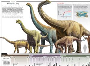 Динозавр с длинной шеей название, динозавр с длинной шеей травоядный Все виды длинношеих динозавров